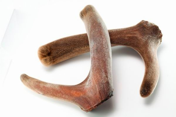 延边朝鲜族十大特产 (吉林延边朝鲜族自治州有什么特产)