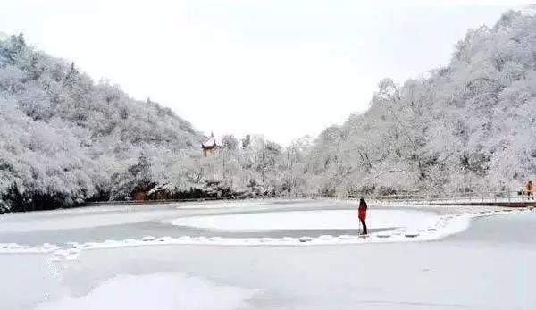 寒气席卷、叶汽成霜……陕西6处大美雾凇奇景上线！