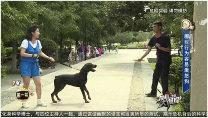 男童遭7只恶犬撕咬,小男孩被三条恶犬咬目前情况