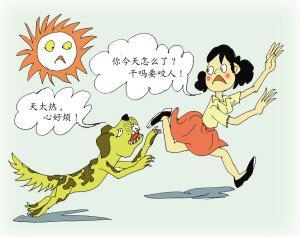 男童遭7只恶犬撕咬,小男孩被三条恶犬咬目前情况