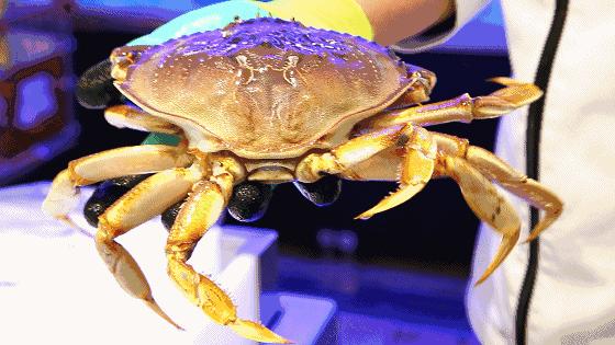 在超市里吃海鲜,在超市里面吃饭吃海鲜