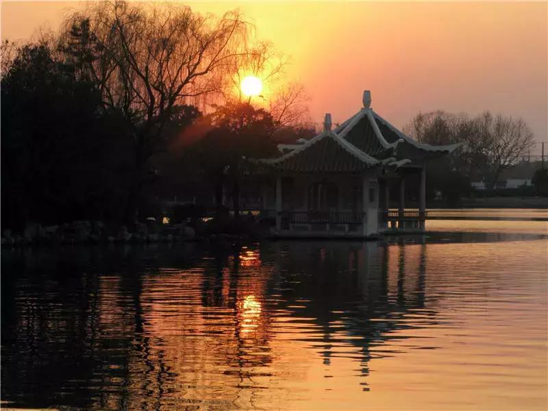 上海星级公园名单火热出炉,上海有什么5a级公园