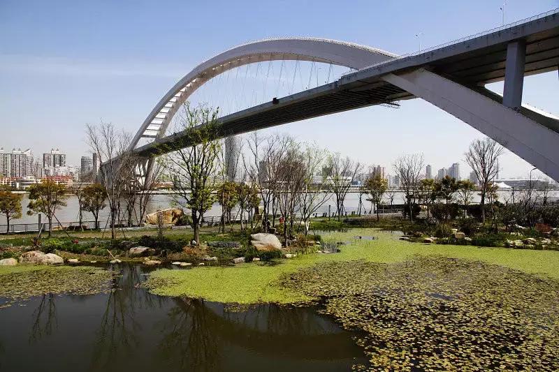 上海星级公园名单火热出炉,上海有什么5a级公园