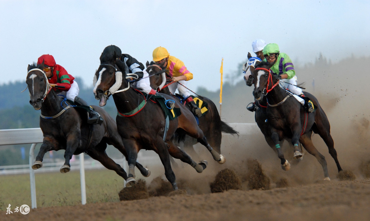 侠盗猎车手6数字秘籍,侠盗猎车手6出来了么