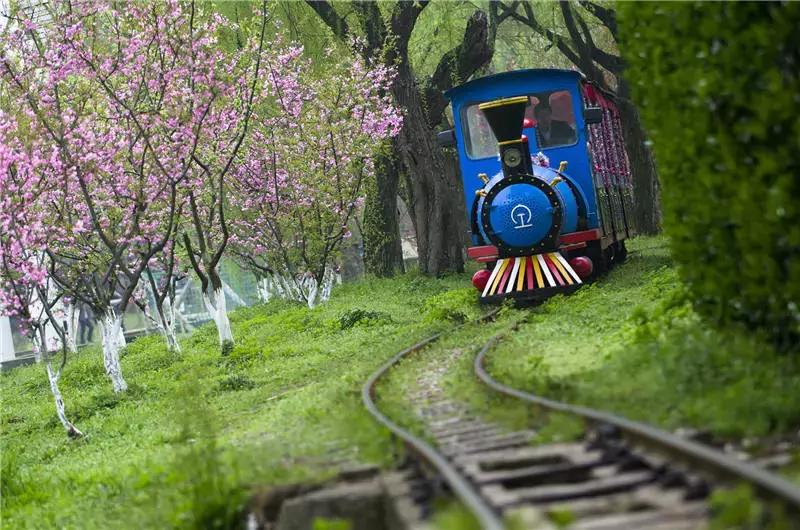 上海星级公园名单火热出炉,上海有什么5a级公园