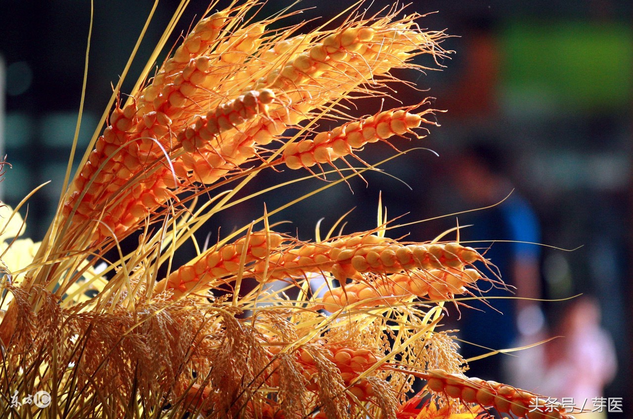 元气大伤是指的什么,伤元气该如何补回来