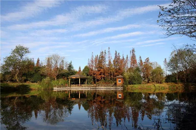 上海星级公园名单火热出炉,上海有什么5a级公园