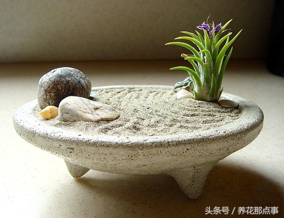 在办公室里应该摆什么样的花,高山流水盆景办公室小禅意