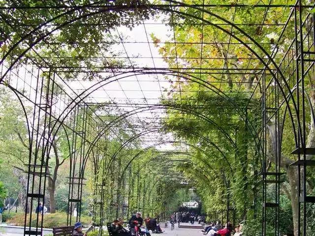 上海星级公园名单火热出炉,上海有什么5a级公园