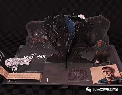 大开眼界提高认知的书籍,立体书购买推荐