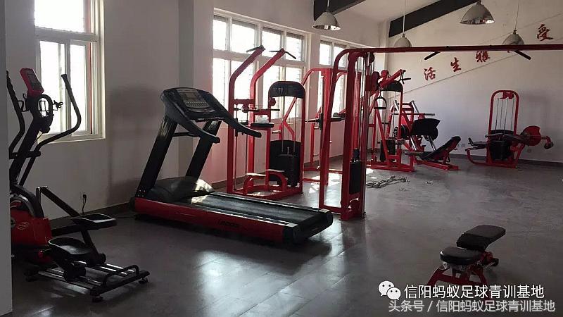 信阳蚂蚁足球直播,信阳蚂蚁足球培训班