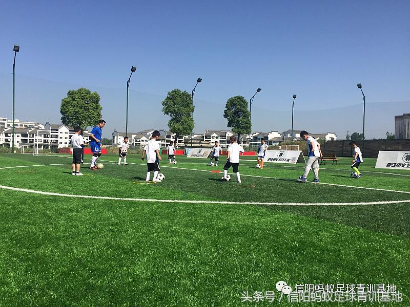信阳蚂蚁足球直播,信阳蚂蚁足球培训班