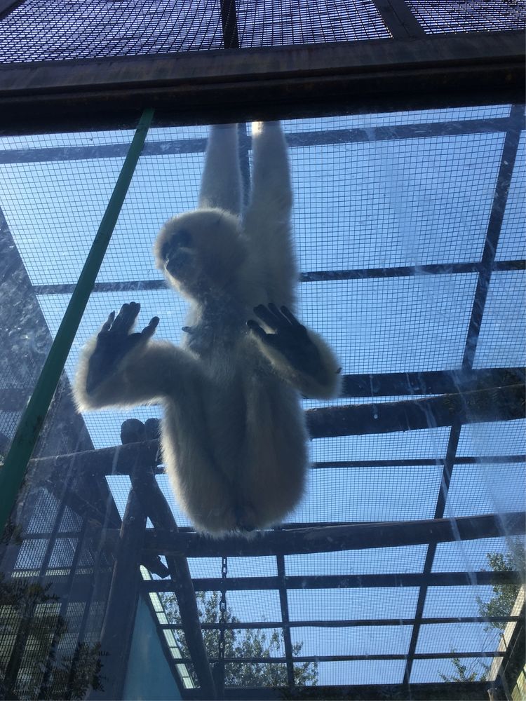 小屁孩的南京之旅,记录小屁孩的旅途