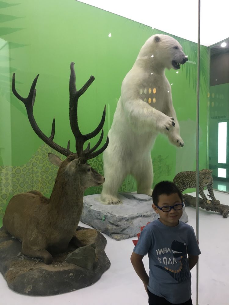 小屁孩的南京之旅,记录小屁孩的旅途