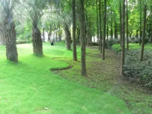 上海星级公园名单火热出炉,上海有什么5a级公园