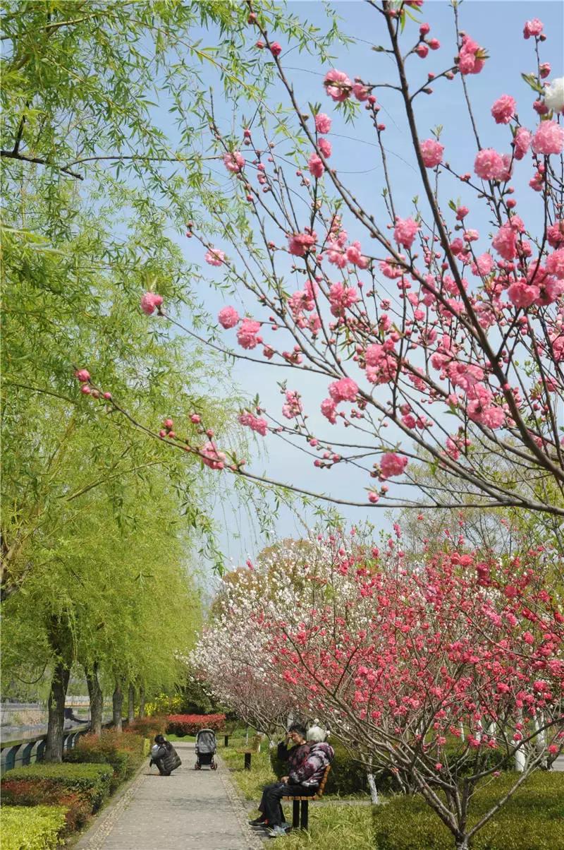 上海星级公园名单火热出炉,上海有什么5a级公园