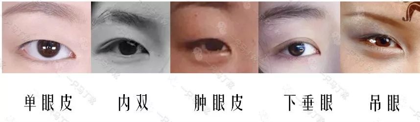 3ceovertake眼影教程单眼皮,单眼皮眼泡怎么画眼妆