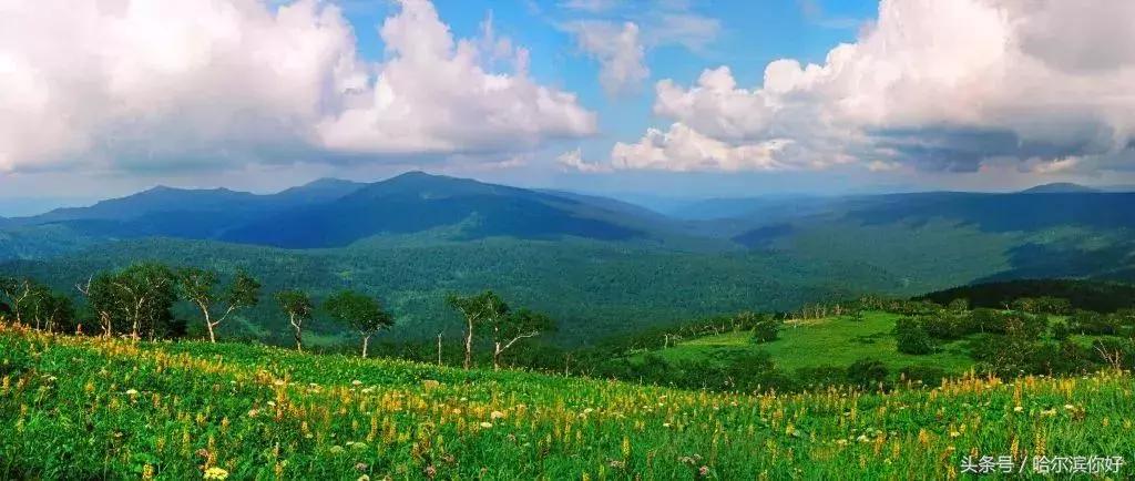 2018年哈尔滨各区县排名,2018年哈尔滨各区gdp