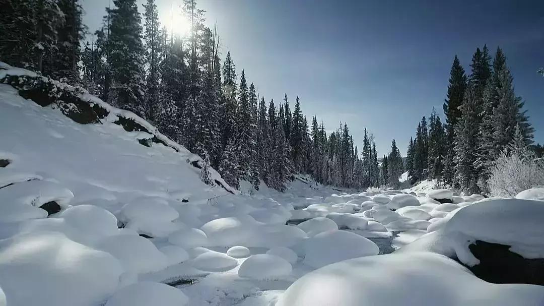 必看bbc10部地理纪录片,bbc十部顶级纪录片