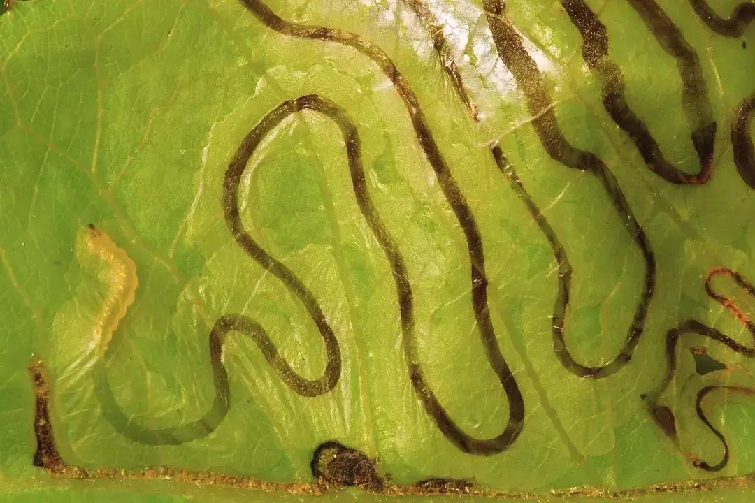 必看bbc10部地理纪录片,bbc十部顶级纪录片