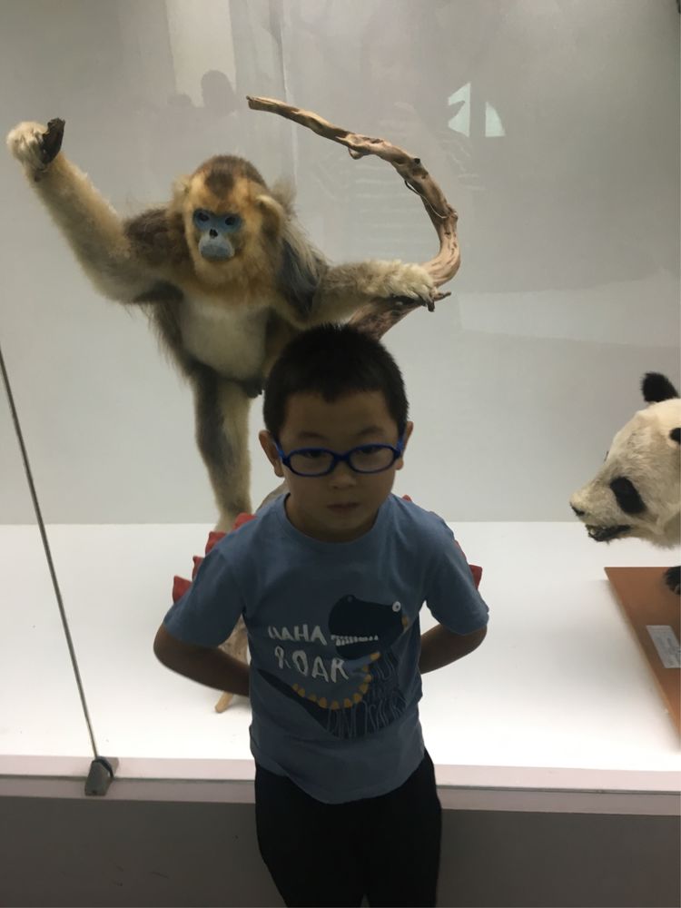 小屁孩的南京之旅,记录小屁孩的旅途