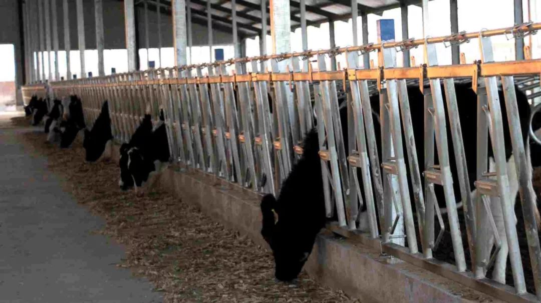 奈曼旗新闻最新今天,奈曼2018.02.14新闻