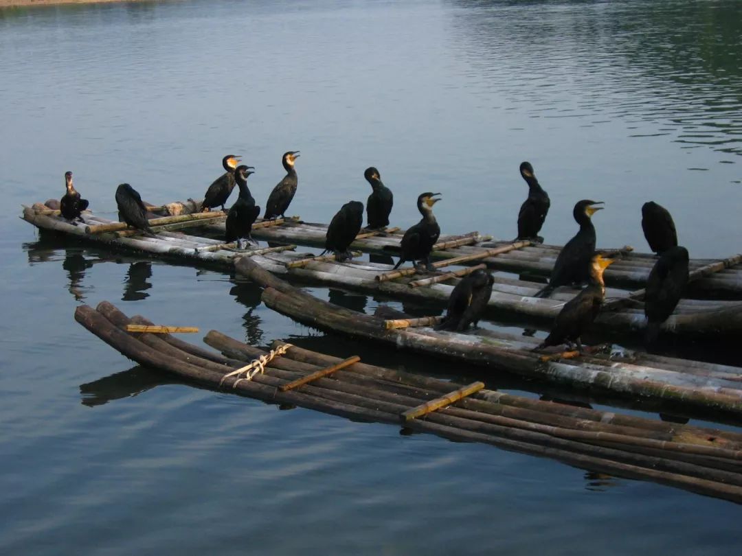 推荐｜2月，可以去这几个地方走走~