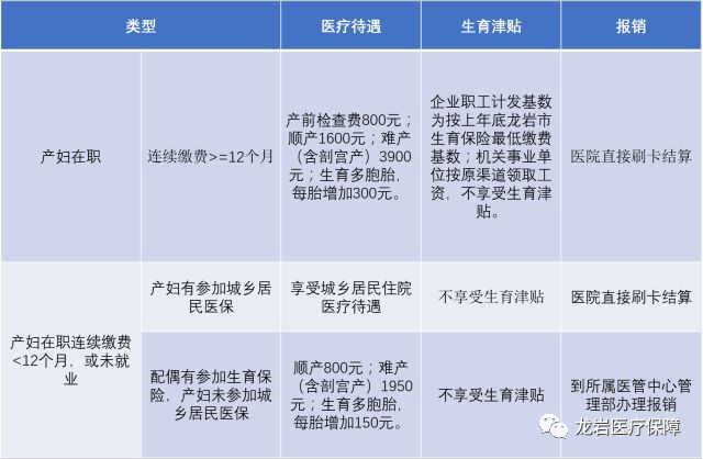 龙岩生育保险怎么报,生育保险怎么报