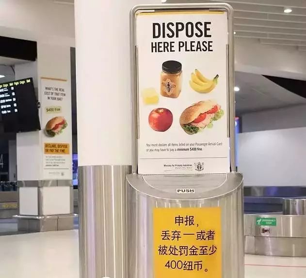 澳门赌王女儿入境新西兰居然被扣，她究竟带了什么？