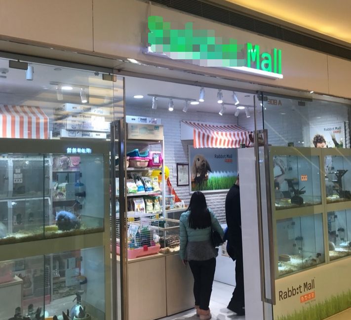 “我在银泰这家店买了只兔子，然后……”楼主哭了，网友却笑疯了，不过背后的这个问题还是要关注