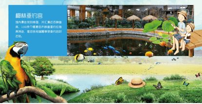 周末看花一日游,周末去哪玩一花一草一世界