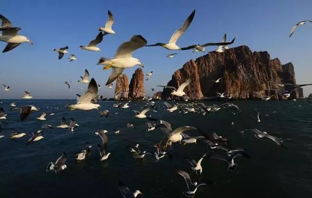 浠欏娴峰哺榄呭姏鐗熷钩,鐑熷彴闀垮矝娴蜂笂椋庡厜