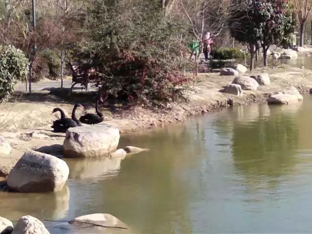 农大开学通知,农大校园景观