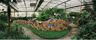 周末看花一日游,周末去哪玩一花一草一世界