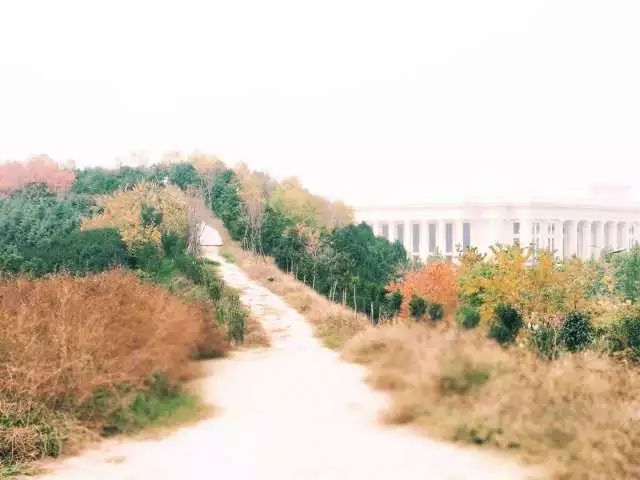 农大开学通知,农大校园景观