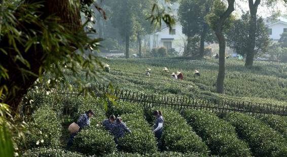 魔都5大绝美免费景点,魔都十大避暑景点