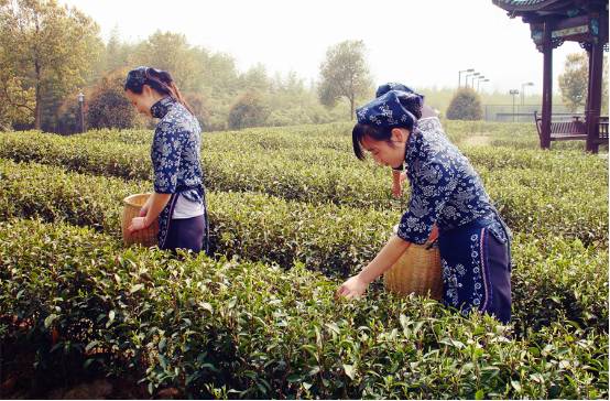 魔都5大绝美免费景点,魔都十大避暑景点