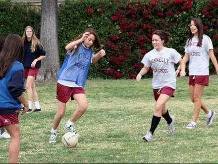 美高最新消息,今日推荐美高衔接课程介绍