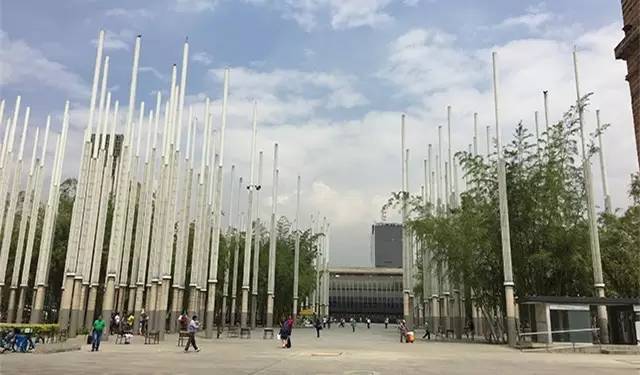 张海律：谋杀之都、黑色景点与生活在其中的受害者