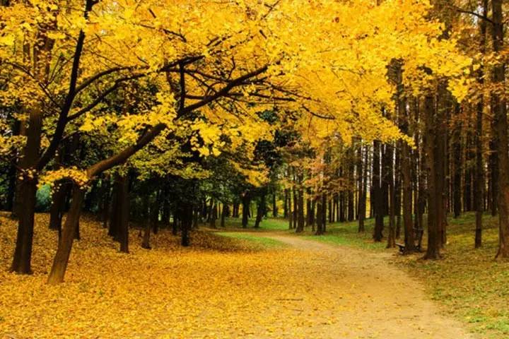 名家经典美文 (平平淡淡才是真感悟人生美文)