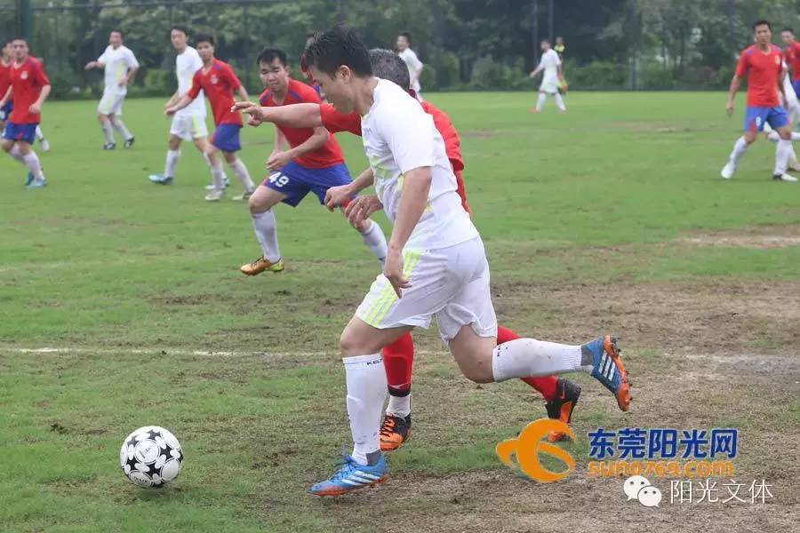 广东东莞足球比赛,2019东莞市足球联赛