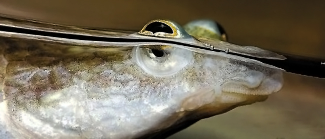 它如何让你我远在天涯也能近在咫尺？