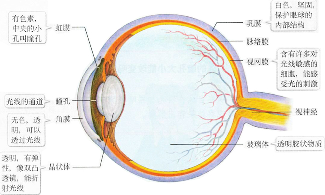 它如何让你我远在天涯也能近在咫尺？