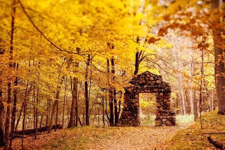 名家经典美文 (平平淡淡才是真感悟人生美文)