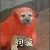 男子高速隧道提神,高速犯困夫妻在隧道提神