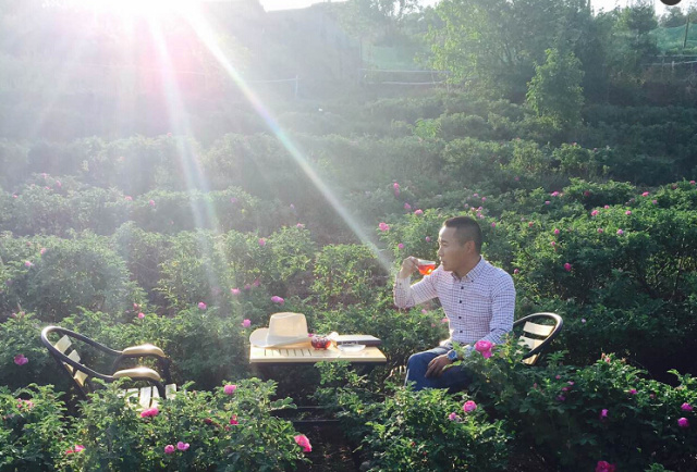 云南玫瑰基地攻略,伟大的五一