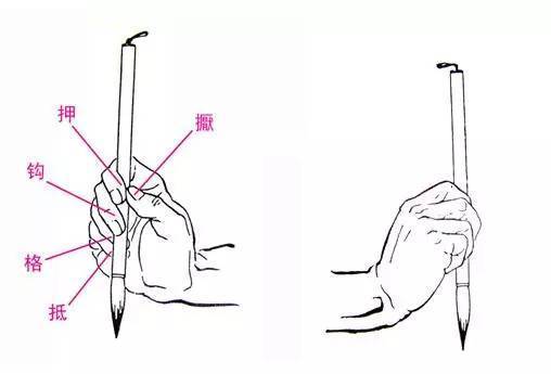 抓毛笔的所有姿势,抓毛笔