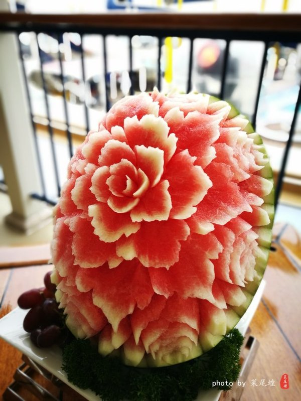 珊瑚海日本,陪你去看海底世界