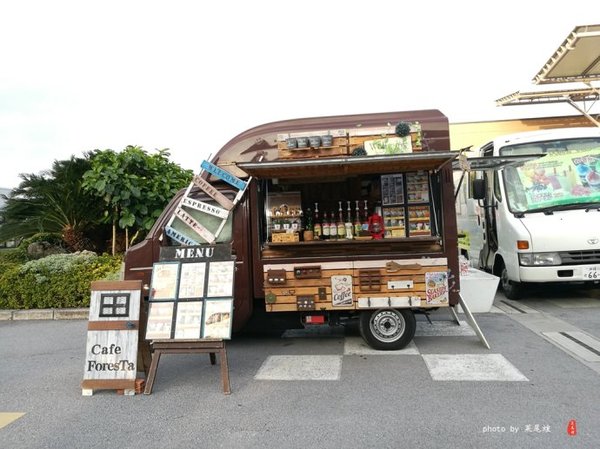 珊瑚海日本,陪你去看海底世界