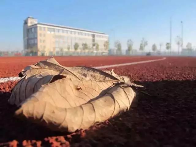 农大开学通知,农大校园景观